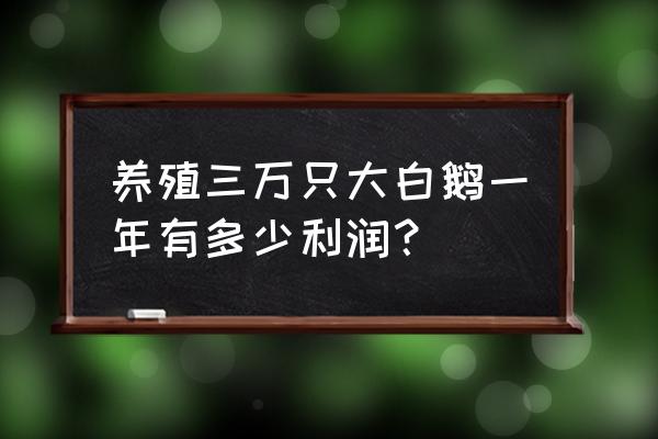 30000元起步创业养殖利润 养殖三万只大白鹅一年有多少利润？