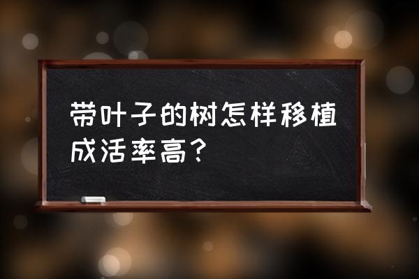 怎样提高花卉移栽成活率 带叶子的树怎样移植成活率高？