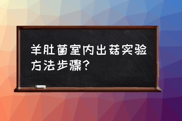 羊肚菌不出菇的原因 羊肚菌室内出菇实验方法步骤？