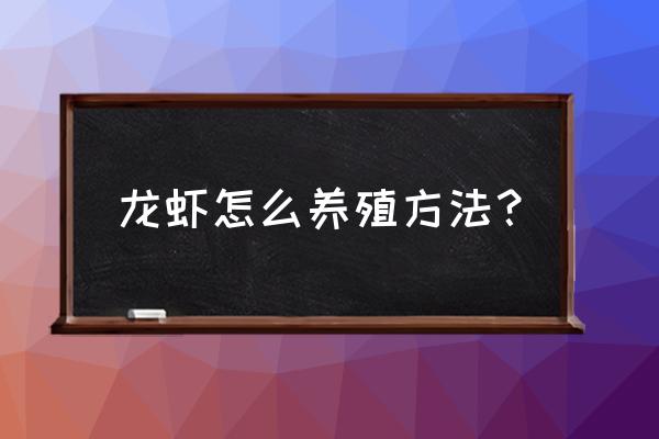 观赏小龙虾的正确饲养方法 龙虾怎么养殖方法？