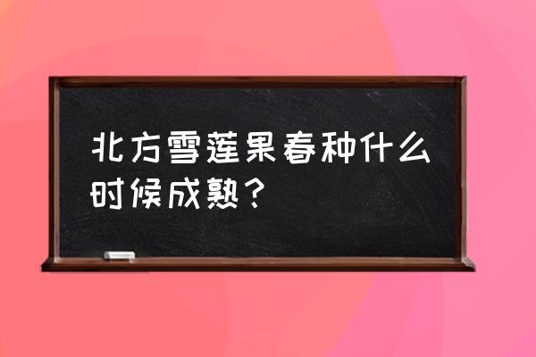 雪莲果产地是什么地方 北方雪莲果春种什么时候成熟？