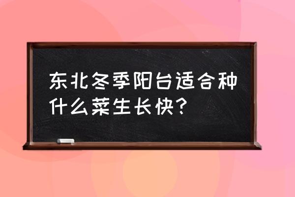 家里阳台可种20种蔬菜 东北冬季阳台适合种什么菜生长快？