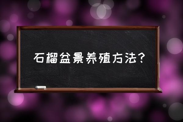 盆栽石榴大面积黄叶怎么弄 石榴盆景养殖方法？