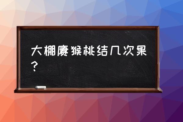 猕猴桃树苗几年挂果 大棚猕猴桃结几次果？