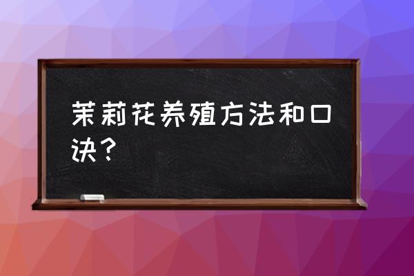 室内养茉莉花的正确方法 茉莉花养殖方法和口诀？