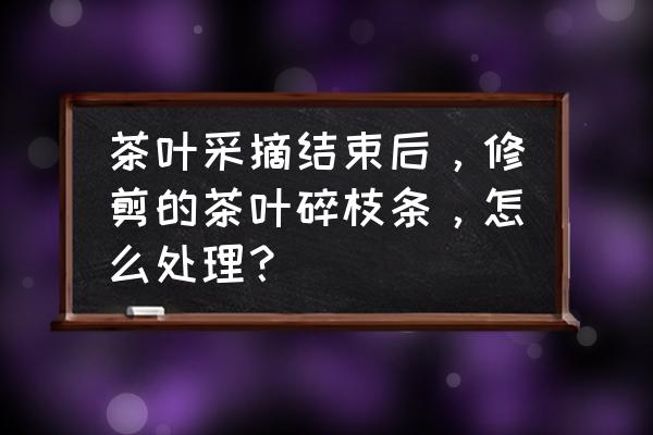 茶树修剪机十大排名 茶叶采摘结束后，修剪的茶叶碎枝条，怎么处理？