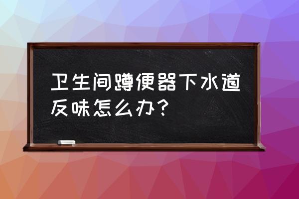 卫生间下水道反味特别严重咋办 卫生间蹲便器下水道反味怎么办？