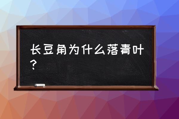 扁豆的副作用和危害 长豆角为什么落青叶？