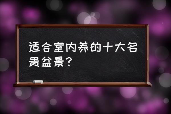 银杏叶在室内设计的应用 适合室内养的十大名贵盆景？