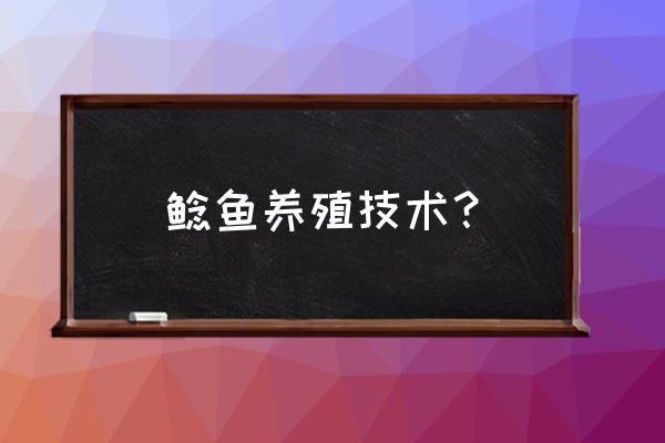 养鲶鱼的技巧和方法 鲶鱼养殖技术？