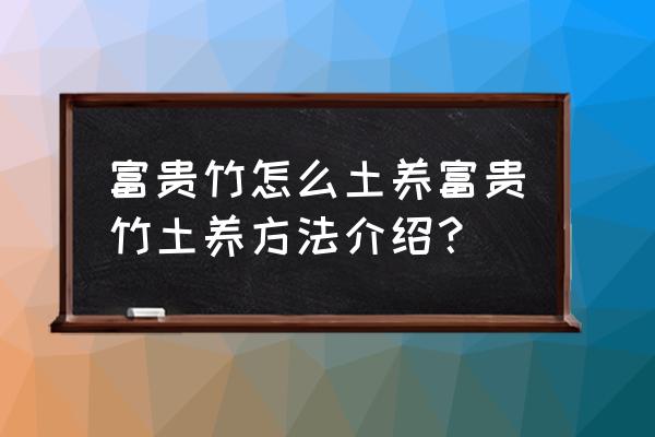 怎么用粘土捏竹子 富贵竹怎么土养富贵竹土养方法介绍？