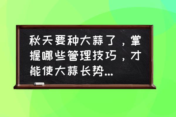 大蒜年后怎么管理 秋天要种大蒜了，掌握哪些管理技巧，才能使大蒜长势好，蒜头大？