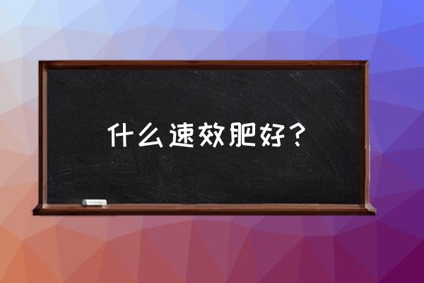 怎么追肥最好最快 什么速效肥好？