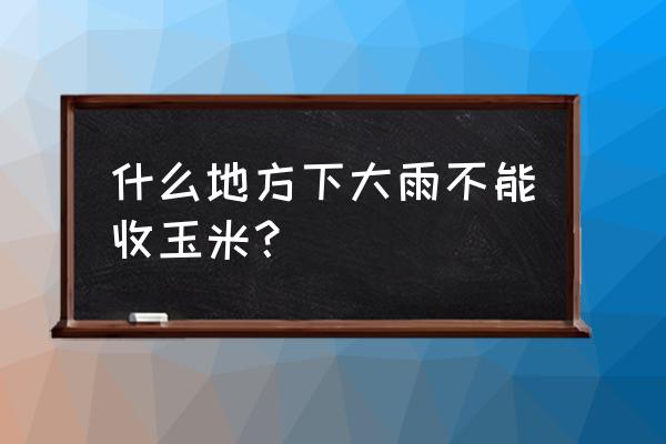 地里太湿怎么收玉米 什么地方下大雨不能收玉米？