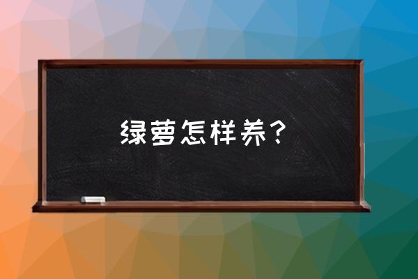 绿罗养殖方法大全 绿萝怎样养？