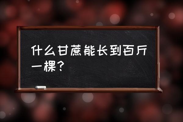 甘蔗哪个品种长得快又好吃 什么甘蔗能长到百斤一棵？