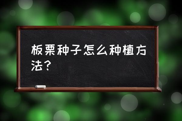 哪种板栗种子比较好 板栗种子怎么种植方法？