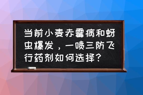 小麦赤霉病怎么防治最好 当前小麦赤霉病和蚜虫爆发，一喷三防飞行药剂如何选择？