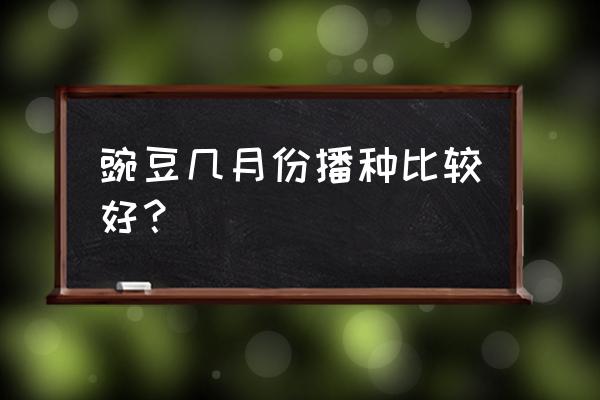 豌豆苗的种植方法和时间 豌豆几月份播种比较好？