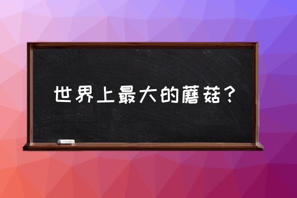 奇怪的蘑菇环成就 世界上最大的蘑菇？