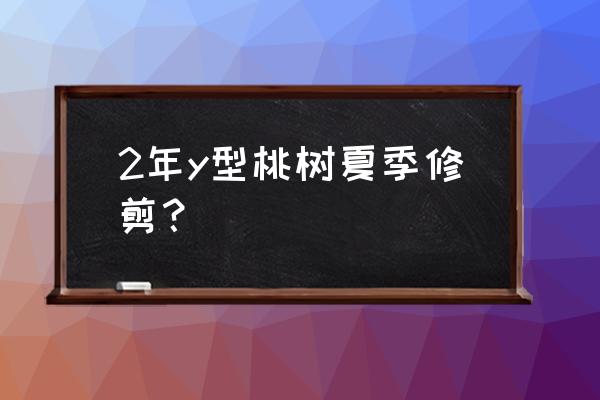 两年桃树夏天修剪的正确方法 2年y型桃树夏季修剪？