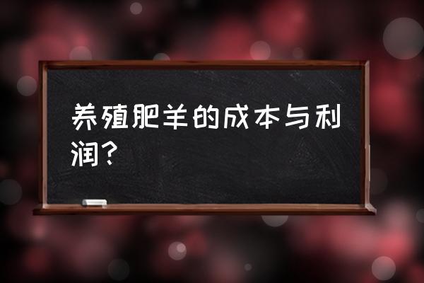 养羊成本利润预算多少合理 养殖肥羊的成本与利润？