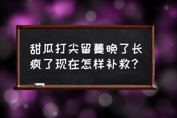 甜瓜藤蔓太多了不活瓜怎么办 甜瓜打尖留蔓晚了长疯了现在怎样补救？