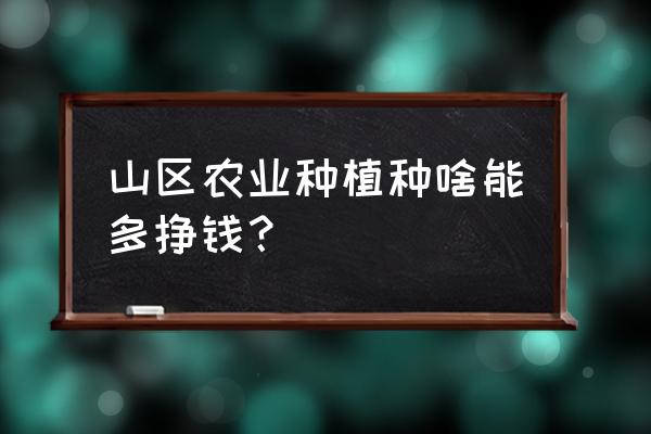 川贝母种植成本和利润 山区农业种植种啥能多挣钱？