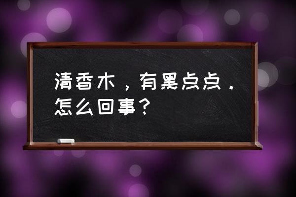 胡椒木和清香木对比图 清香木，有黑点点。怎么回事？