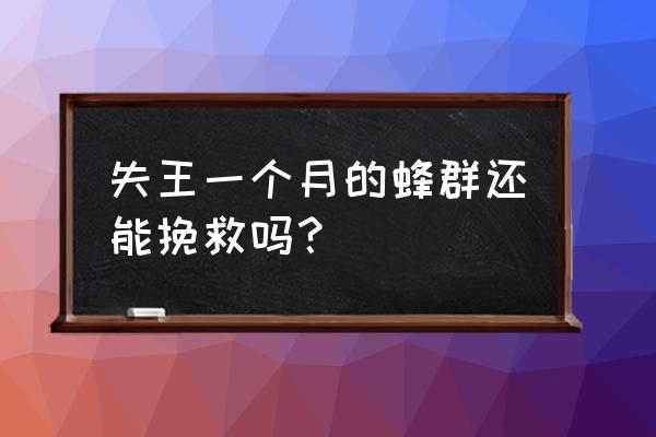 失王已久的蜂群怎么介入蜂王 失王一个月的蜂群还能挽救吗？