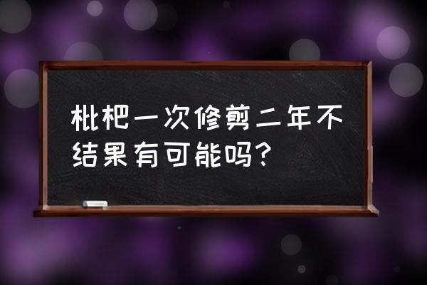 三四年枇杷树的修剪方法 枇杷一次修剪二年不结果有可能吗？