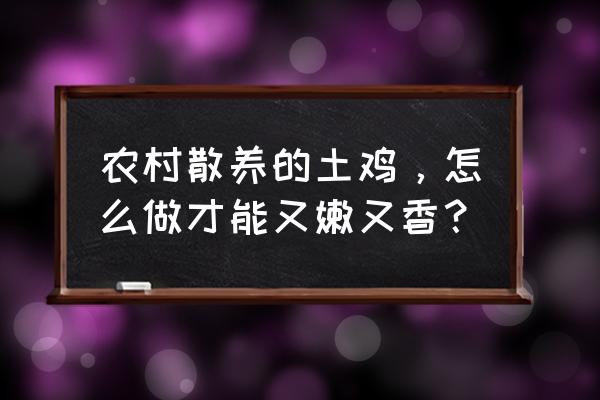 农村散养鸡的养殖方法 农村散养的土鸡，怎么做才能又嫩又香？