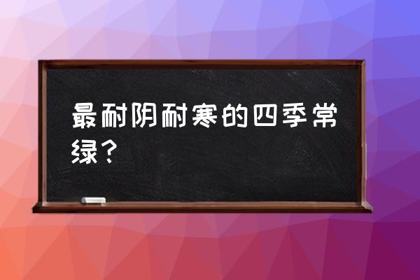 什么喜阴花好养 最耐阴耐寒的四季常绿？