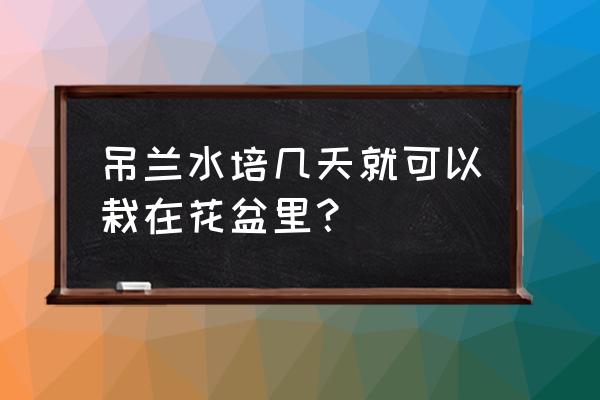 佛珠吊兰刚网购回来怎样上盆 吊兰水培几天就可以栽在花盆里？