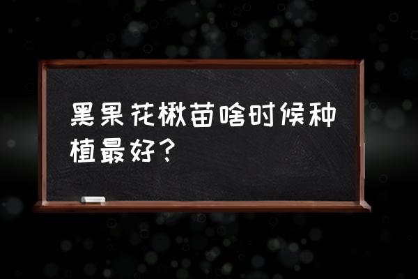 吃黑果花楸对身体的危害 黑果花楸苗啥时候种植最好？