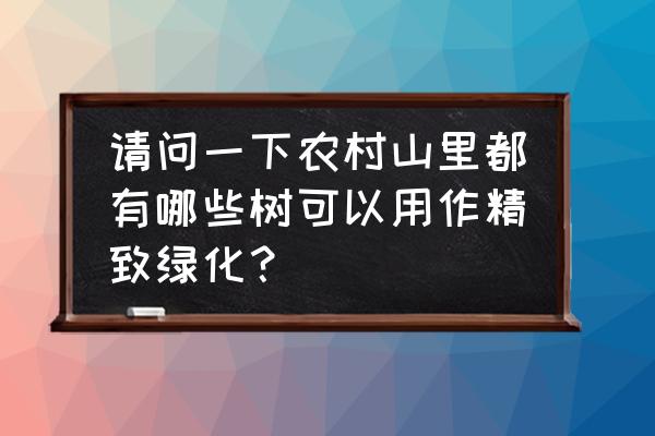 用树枝做一棵大树的步骤 请问一下农村山里都有哪些树可以用作精致绿化？