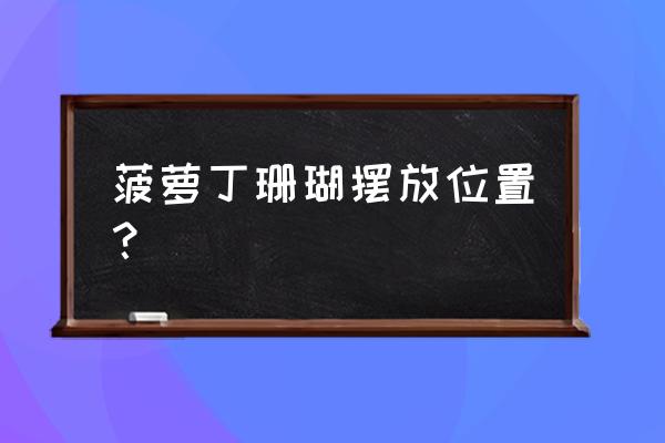 菠萝包轻小说怎么整理书架 菠萝丁珊瑚摆放位置？