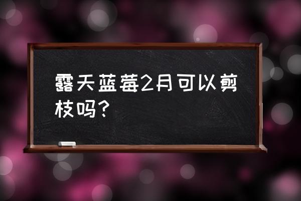 露天蓝莓种植步骤 露天蓝莓2月可以剪枝吗？