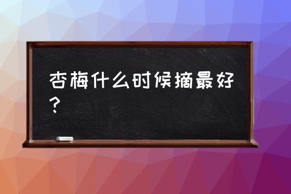 杏树什么时间结果最好 杏梅什么时候摘最好？