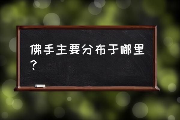 中药佛手啥样子 佛手主要分布于哪里？