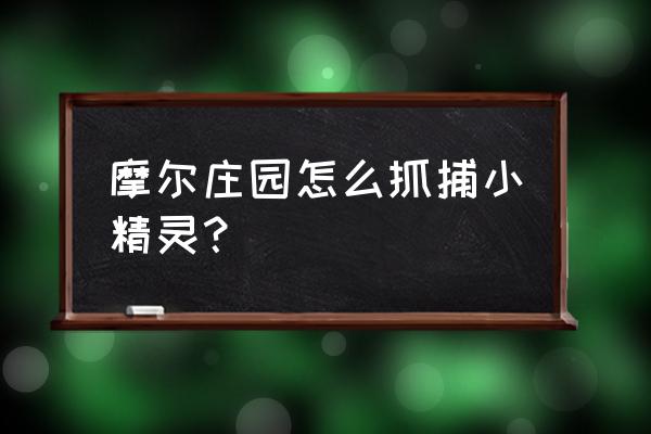 摩尔庄园手游精灵位置 摩尔庄园怎么抓捕小精灵？