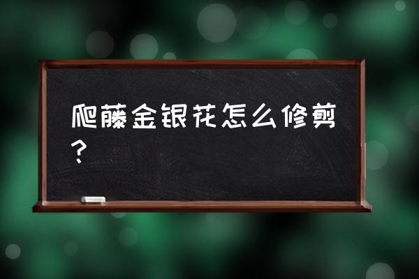 金银花的修剪时间和修剪方法 爬藤金银花怎么修剪？