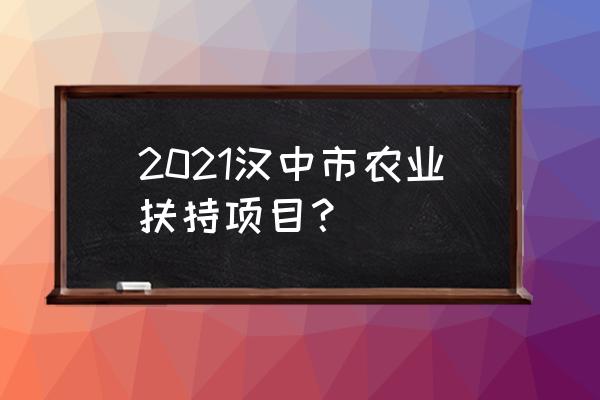 农业扶持最新政策 2021汉中市农业扶持项目？