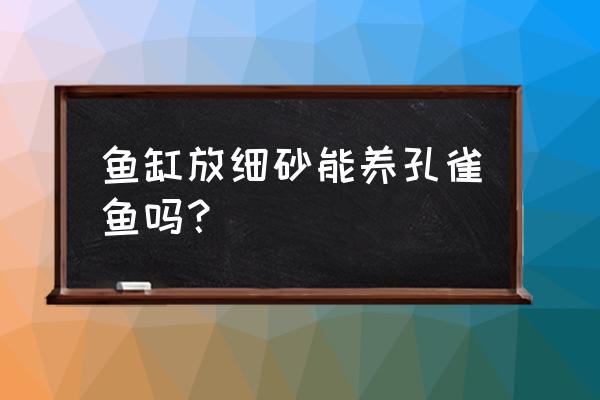 碱性水质用什么鱼饵 鱼缸放细砂能养孔雀鱼吗？