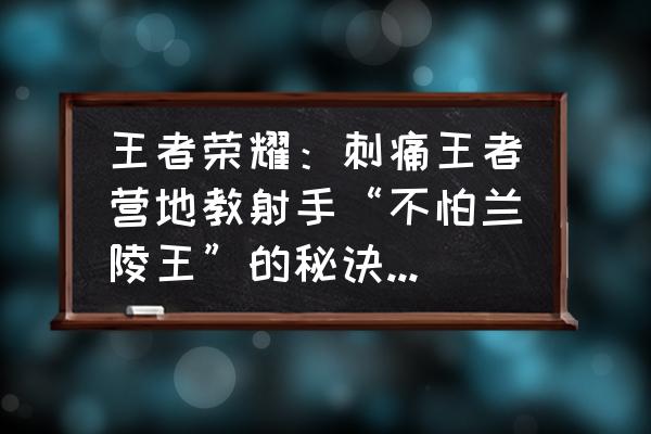 王者荣耀后羿防御差怎么克制 王者荣耀：刺痛王者营地教射手“不怕兰陵王”的秘诀，竟然是220块钱布甲！如何评价？