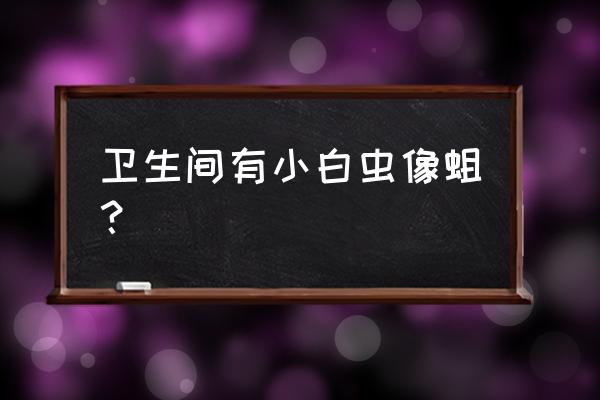 厕所里蠕动的白色虫子如何去除 卫生间有小白虫像蛆？