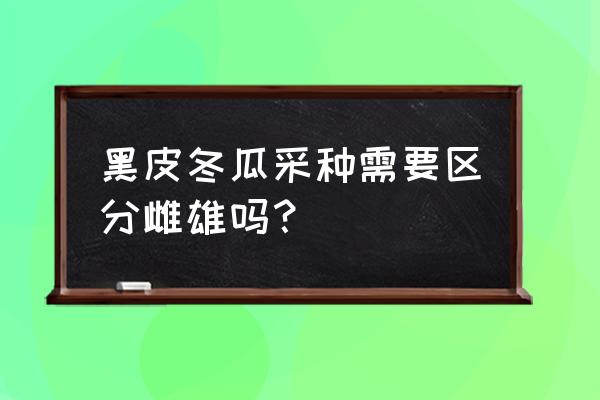 黑皮冬瓜种植方法全过程 黑皮冬瓜采种需要区分雌雄吗？