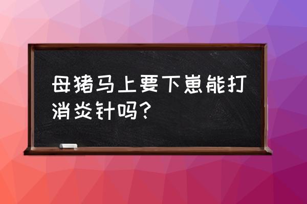 母猪的产后打什么针消炎最好 母猪马上要下崽能打消炎针吗？