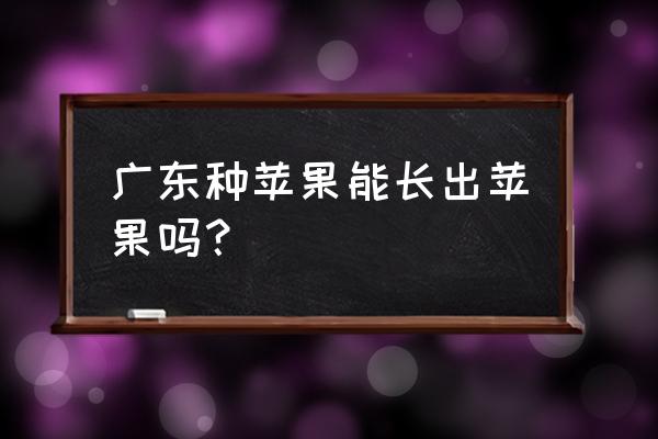 广东可以种植姑娘果吗 广东种苹果能长出苹果吗？