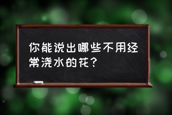 教你画波斯菊 你能说出哪些不用经常浇水的花？